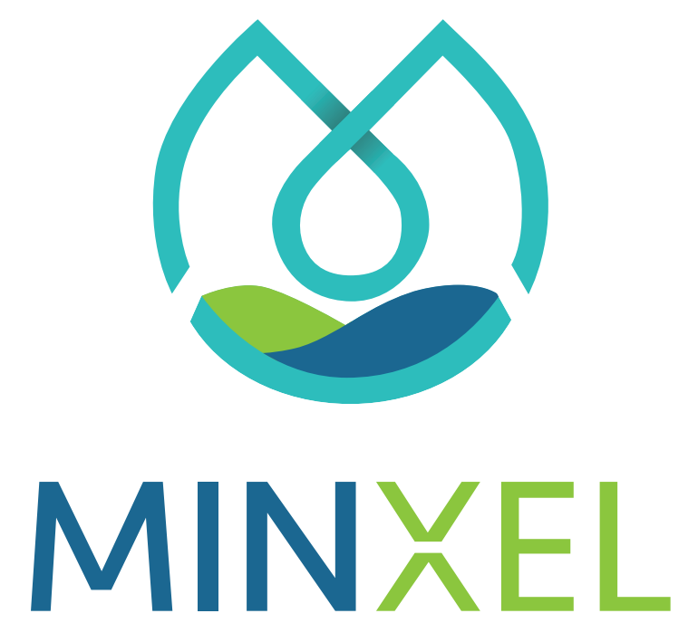 Logo MINXEL